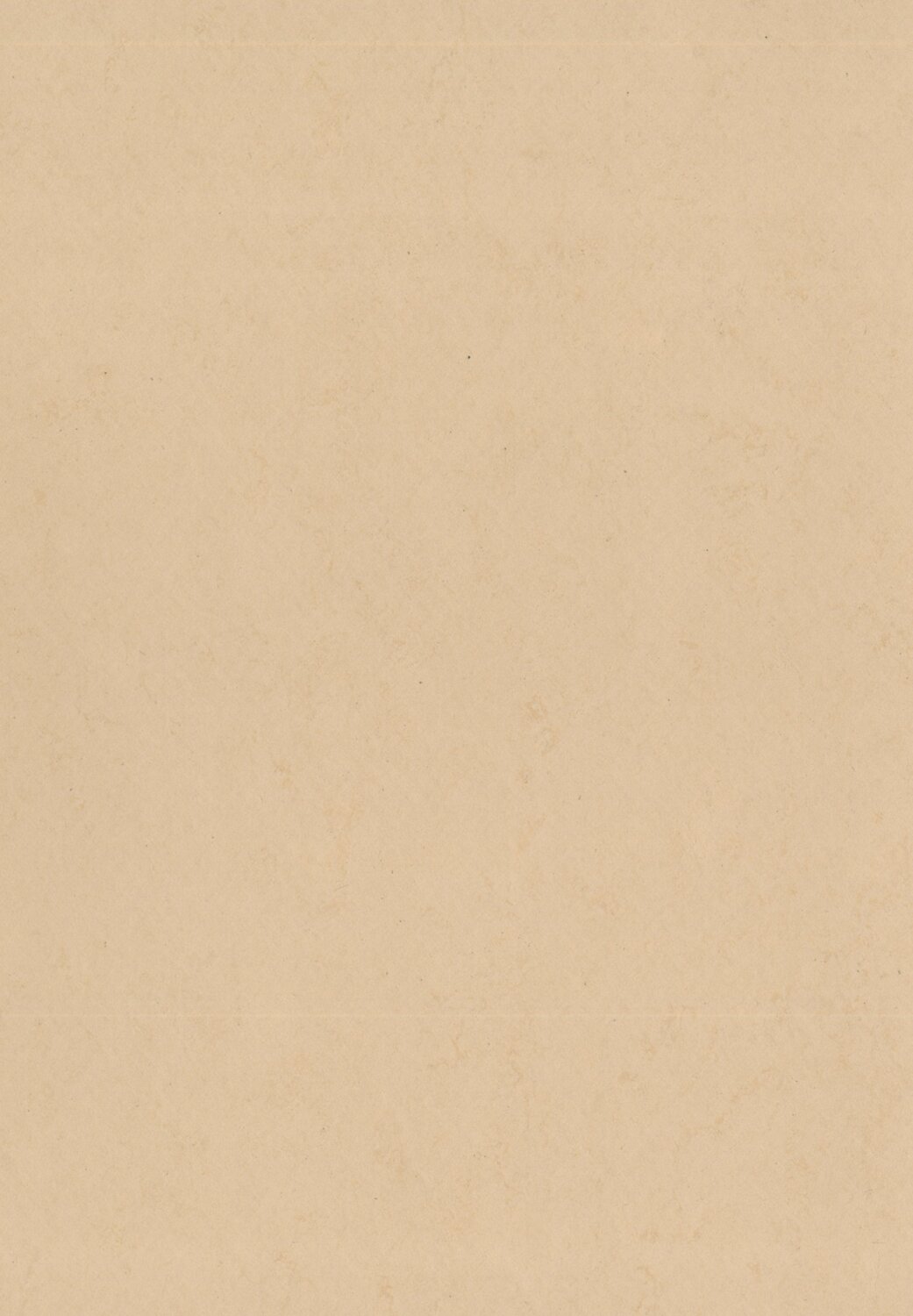 0071 STRAW BEIGE
